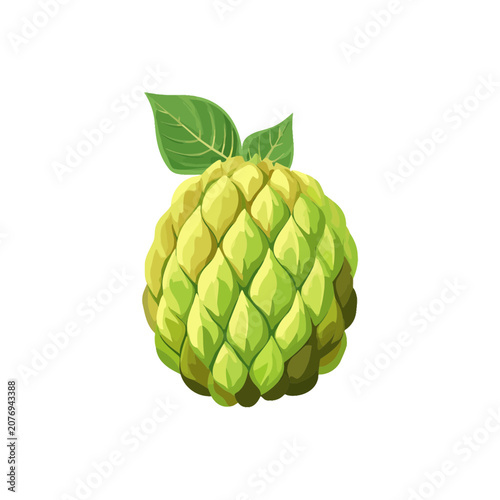 Soursop fruit with leaves vector illustration