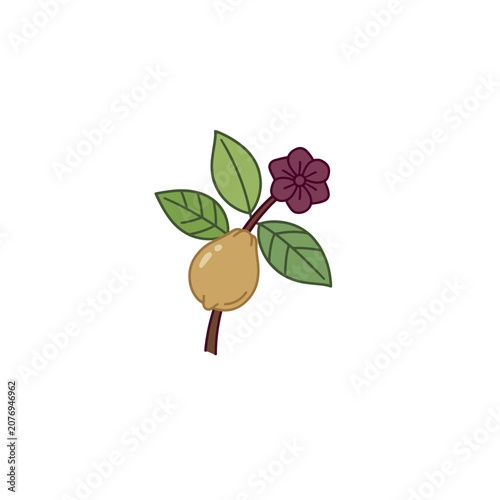 Flat illustration of pear with leaves and flower