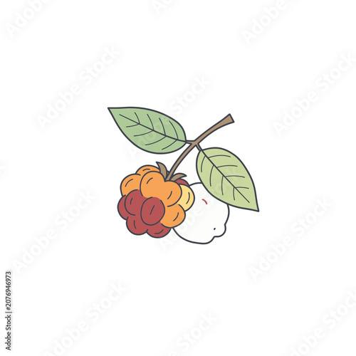 Flat illustration of raspberry cluster with leaves
