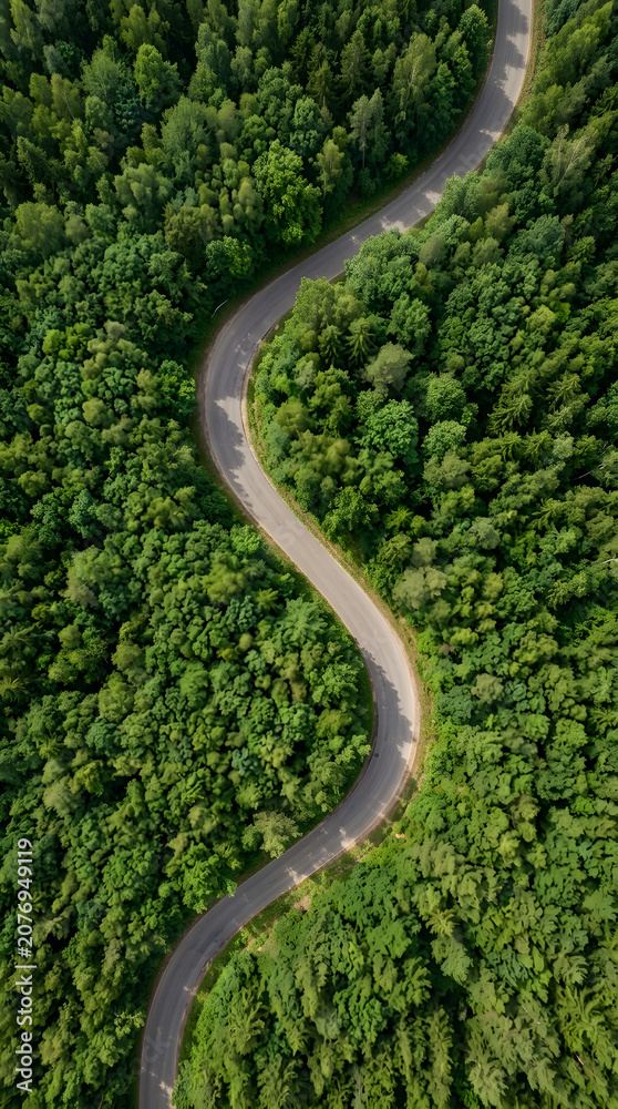 Naklejka premium Aerial View of a Winding Country Road Surrounded by a Dense Lush Green Forest Landscape during a Beautiful Summer Day