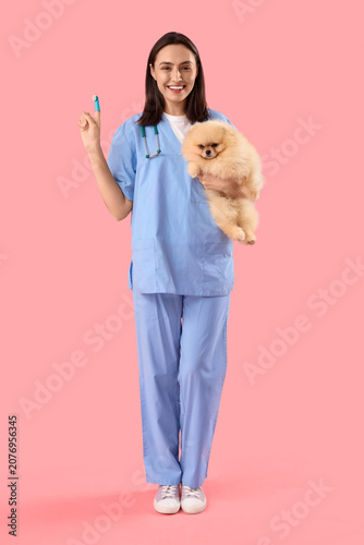 Female veterinarian with cute Pomeranian dog and toothbrush on pink background