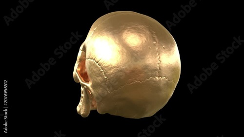 Rotating bronze skull loop with metallic metallic texture turning slowly in seamless hypnotic pattern on dark studio background in 4K Ultra HD footage.
