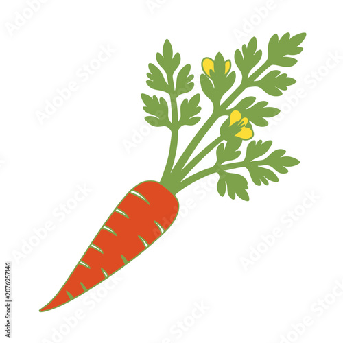 Orange carrot with green leaves and yellow flowers vector illustration