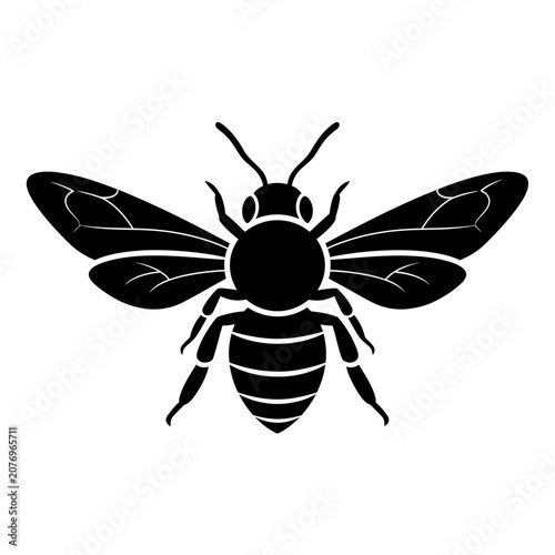 Abstract white background with subtle texture