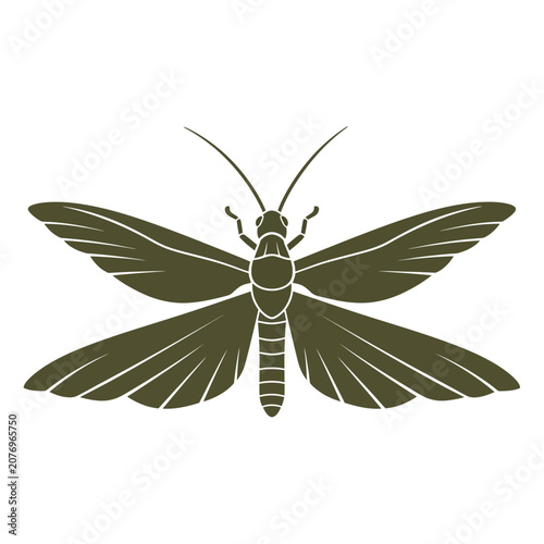 Abstract white background with subtle texture