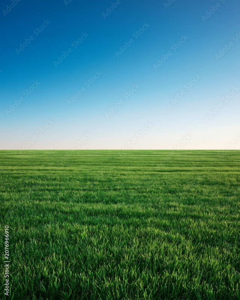 Obraz premium Wide open field under clear sky