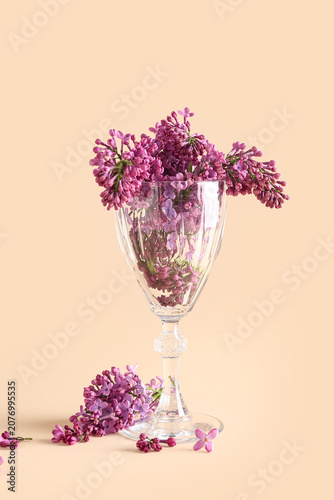 Lilacs in glass on beige ba...