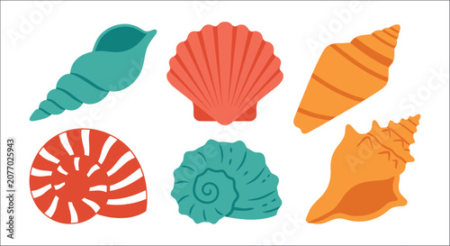 Photos Collection of colorful seashells a vector illustration with a white background s