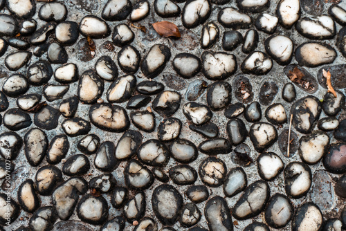Photography Smooth pebble texture on rustic stone pathway for natural backgrounds