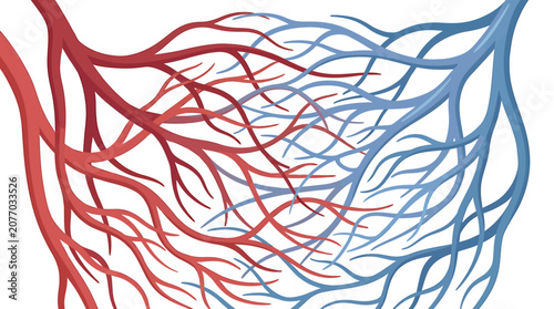 Foto Microscopic Human Capillary Bed Network Anatomy Icon