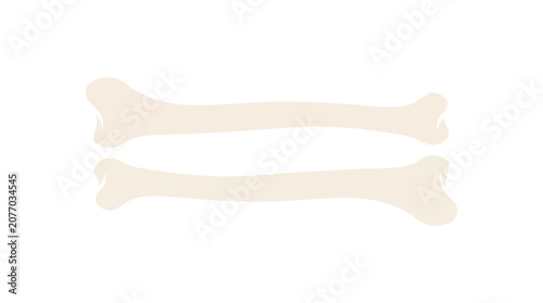 Cuadro en lienzo Radius and Ulna Forearm Bones Anatomy