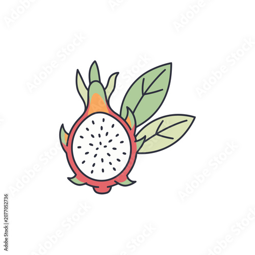 Dragon Fruit Cross Section with Leaves Vector Illustration