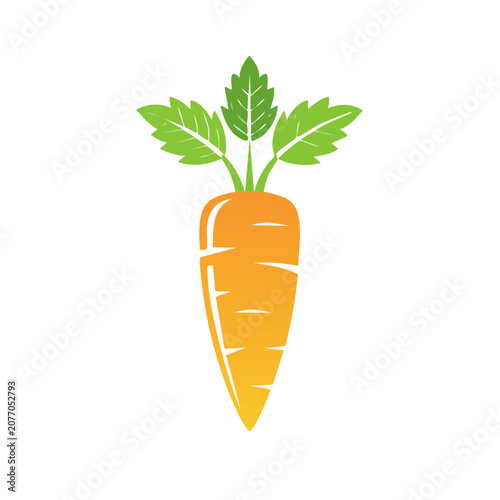 Flat illustration of a carrot with green leaves