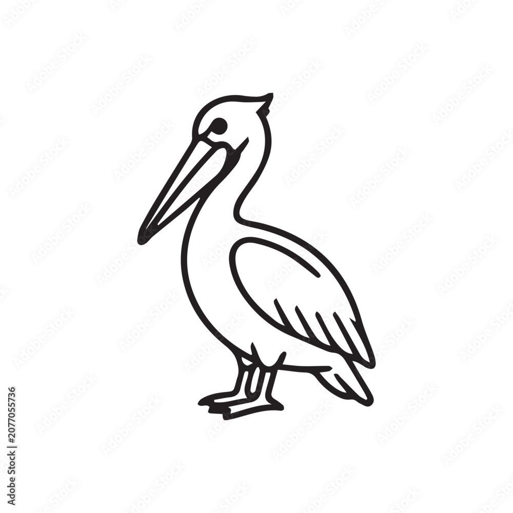 Obraz premium pelican on white background