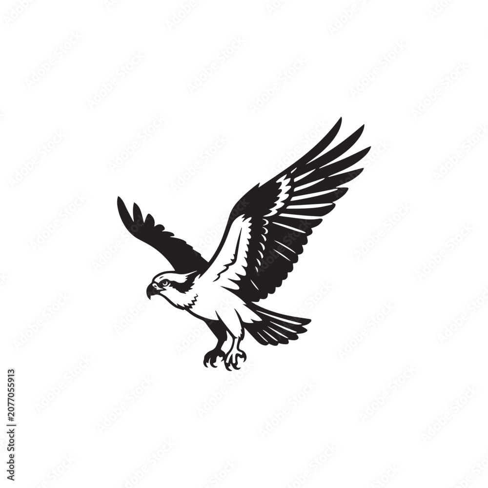 Fototapeta premium osprey silhouette on white background