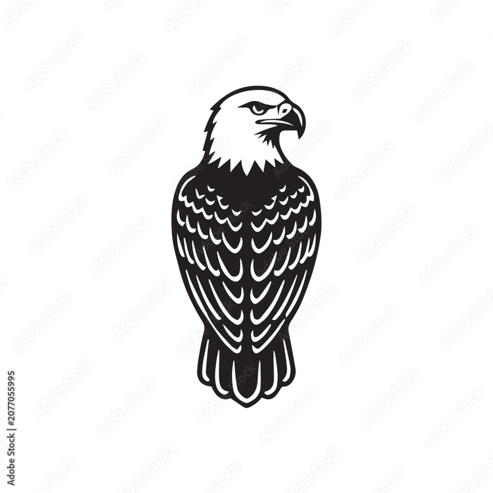 Fototapeta premium eagle on a white background