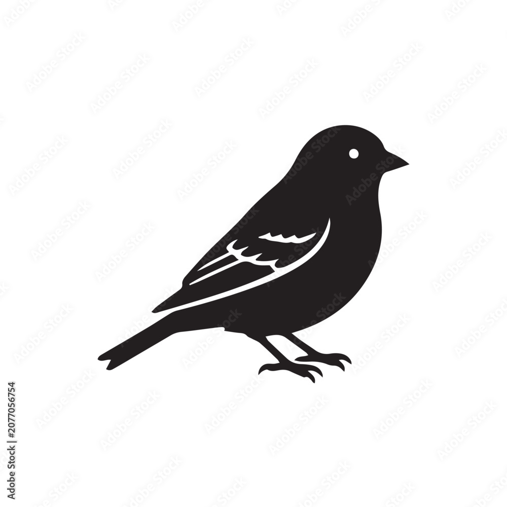 Fototapeta premium bird vector silhouette