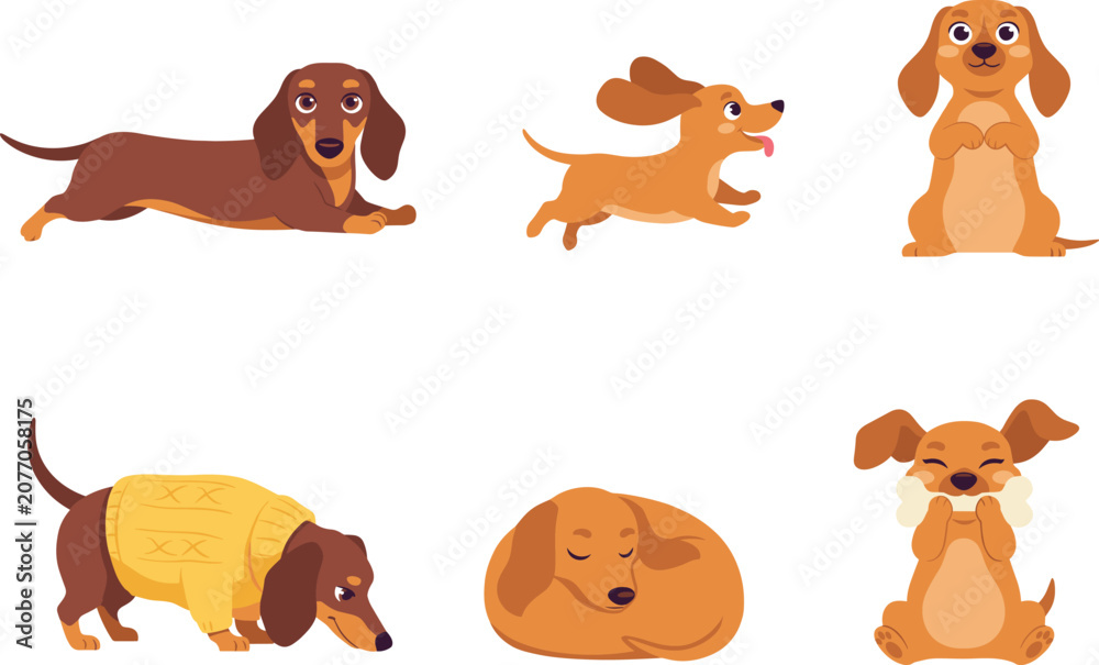 Obraz premium Cute Dachshund Dog Character Collection with Playing Sleeping Sitting and Cartoon Puppy Pet Vector Illustration Set