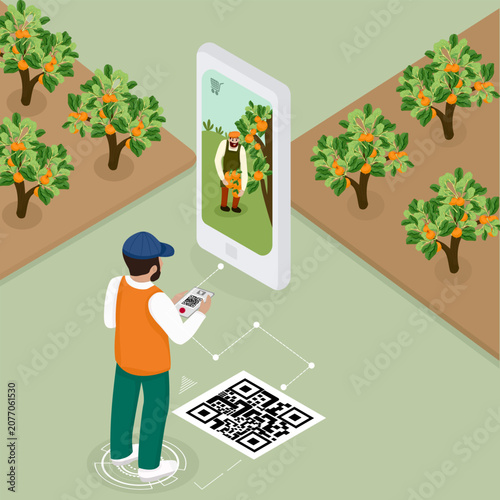Man using smartphone to scan QR code for agricultural traceability system in orange orchard field. Smart agritech, food provenance, and digital supply chain vector illustration in isometric.
