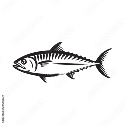 Black Tuna Fish Silhouette On White Background Detailed Illustration