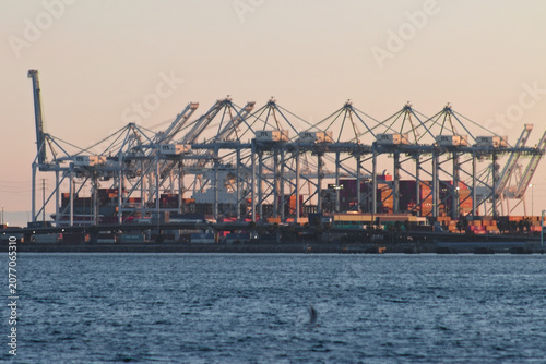 фотографія Port of Long Beach Container Cranes