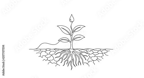 Tableau sur toile Seedling Growing From Cracked Earth with Visible Roots, Water Drop