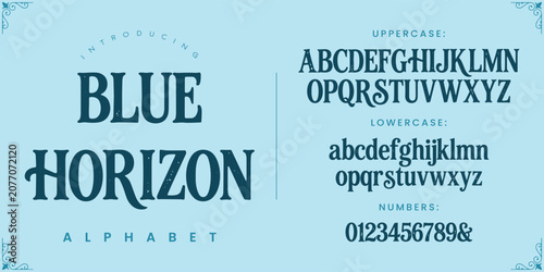 Blue Horizon Retro Serif Display Font with Weathered Texture