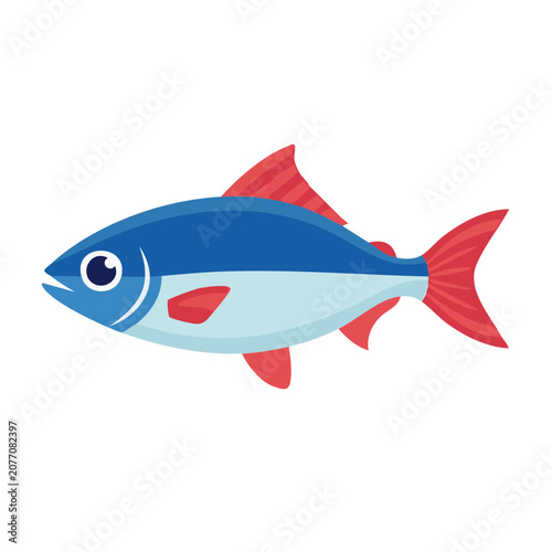 Blue and red fish flat vector illustration