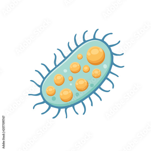 Flat illustration of a bacterium with flagella
