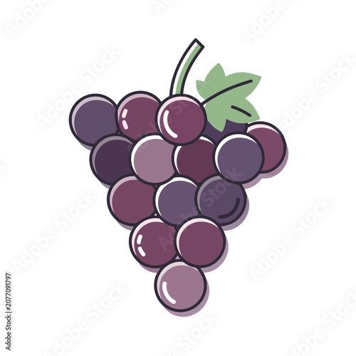 Flat illustration of a grape cluster with leaf