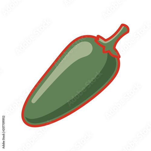 Green jalapeño pepper vector illustration