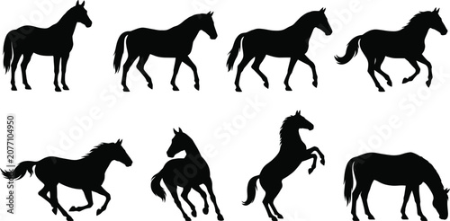 Fényképezés Horse Silhouette Icon Collection with Standing Walking Trotting Galloping Rearin