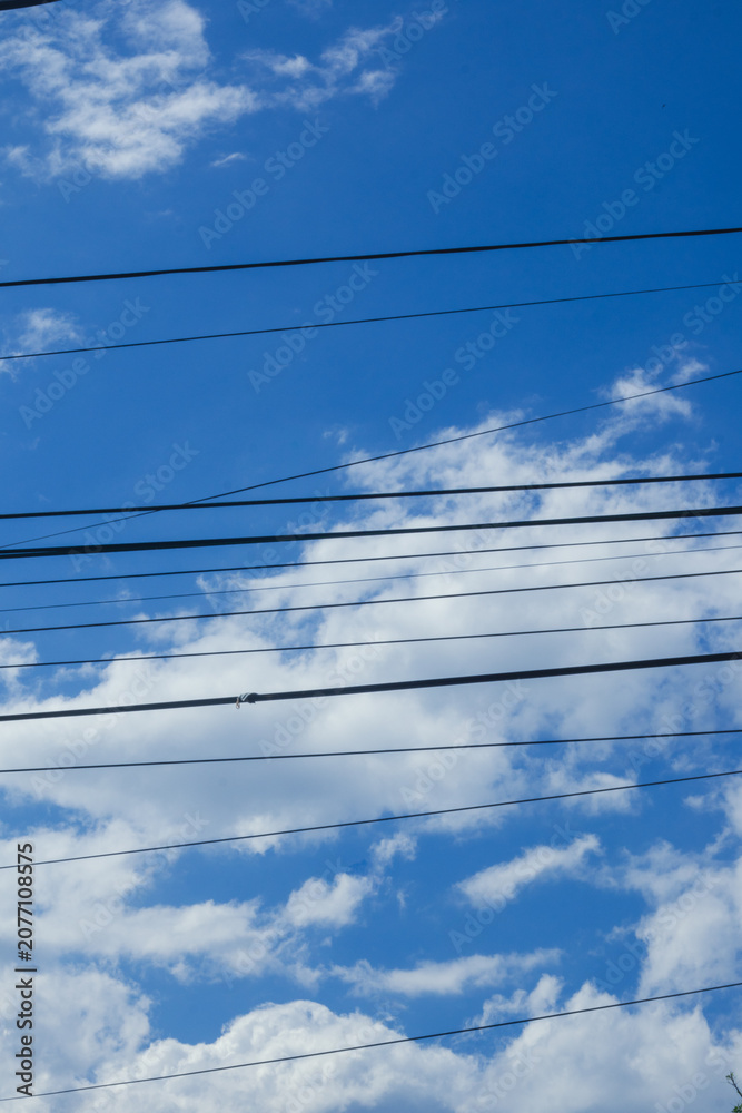 Fototapeta premium Power Lines Against Blue Sky