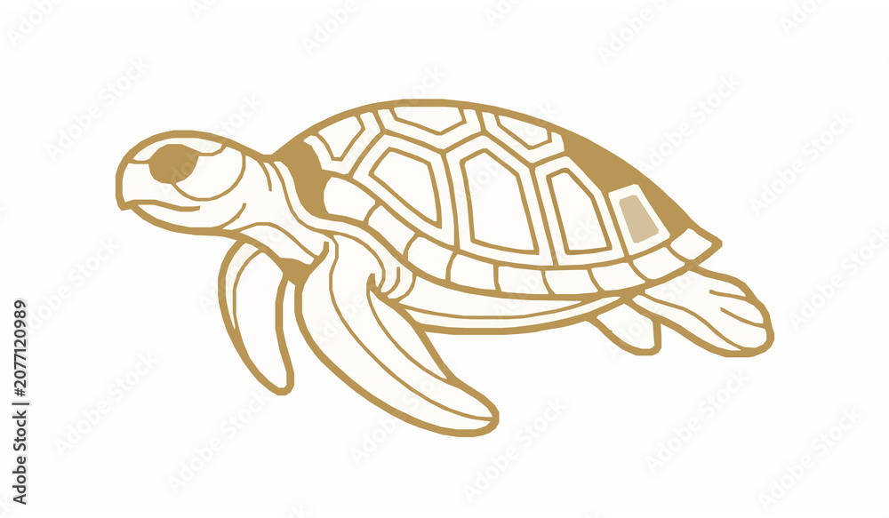 Fototapeta premium Golden Outline Turtle Vector Illustration