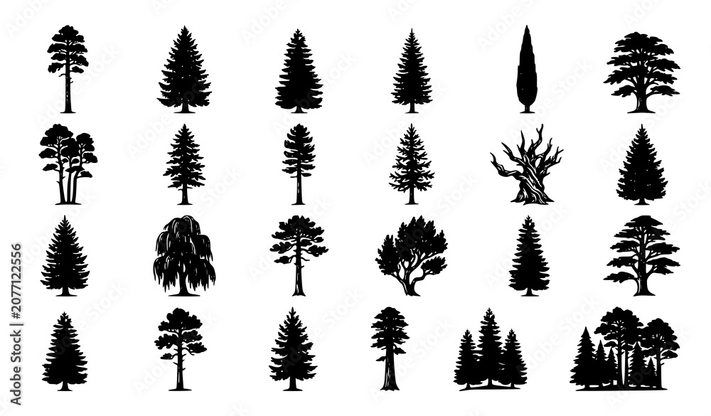 Fototapeta premium Hand Drawn Pine and Fir Tree Silhouette Vector Collection Vintage Nature Set