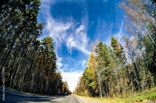 view of the autumn road from the windshield of a suburban car