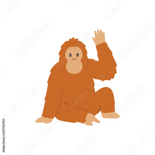 Photography Cute baby orangutan sitting and waving hand active pose flat vector illustration