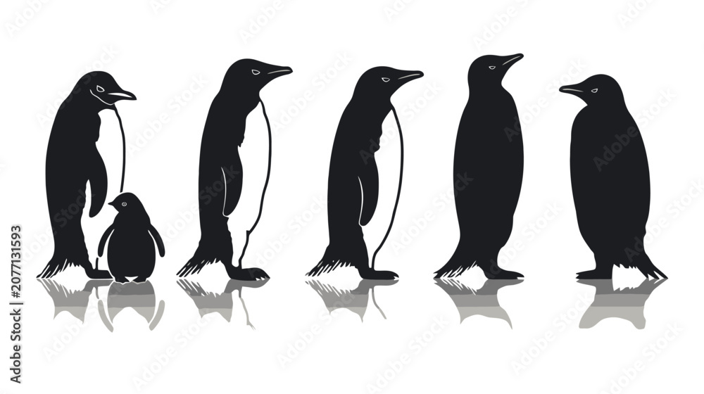 Obraz premium Black bird silhouette collection on tree branches, flying and perched songbird vector set, minimalist nature wildlife illustration on white background