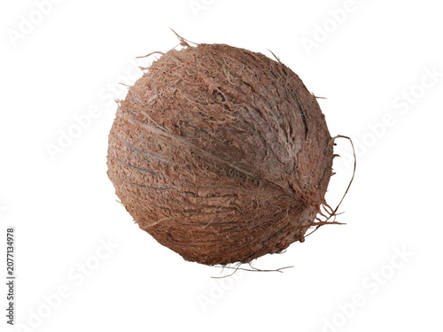 Fresh and Cleaned Whole Coconut