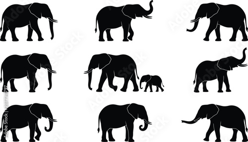 Canvas Print Set of elephant silhouettes in various poses including baby elephant isolated on