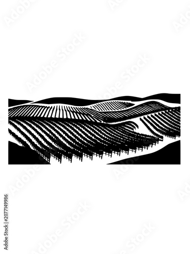 Vineyard Landscape with Rolling Hills in Woodcut Style Illustration