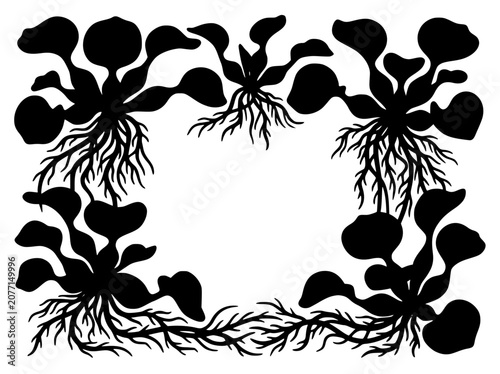 Water Hyacinth Plant Silhouette Frame and Border Illustration