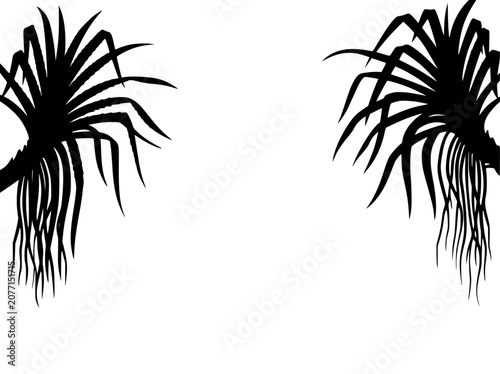 Tropical Palm Tree Silhouettes Frame on White Background