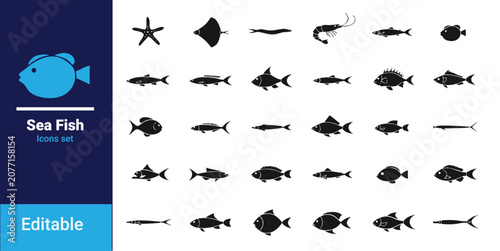 Photos Sea animals and fish silhouette flat vector