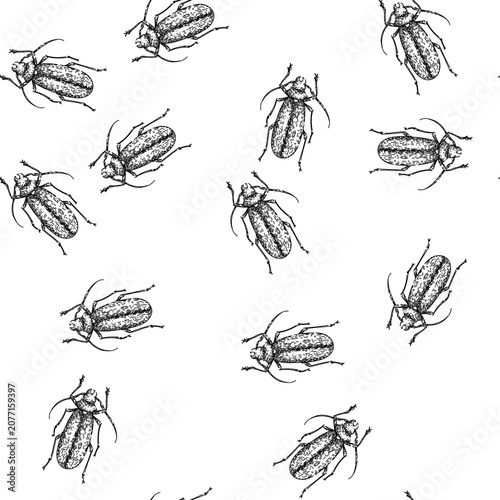 Φωτογραφία seamless pattern scarab beetle hand drawn