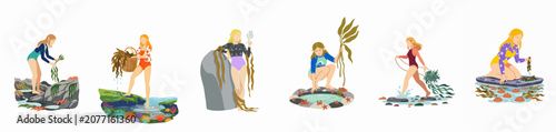 Cuadro en lienzo Flat vector illustration set of female characters with elf ears harvesting seaweed, gathering kelp, and exploring marine life along coastal tide pools