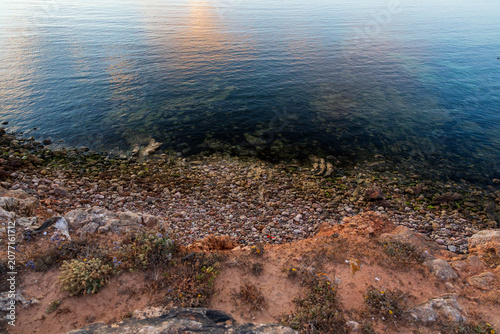 Clear shallow water reveals smooth pebbles and rocks along a rugged coastal shoreline at golden hour. Wild dune plants and sandy soil edge the rocky beach on the coast of Portugal.