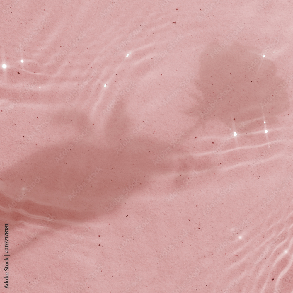 Fototapeta premium Pink pool water background, rose flower shadow