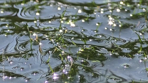 Abstract Sparkling Water Ripples with Intense Midday Sun Glare and Shiny Jewel Sparkles Texture.4k

