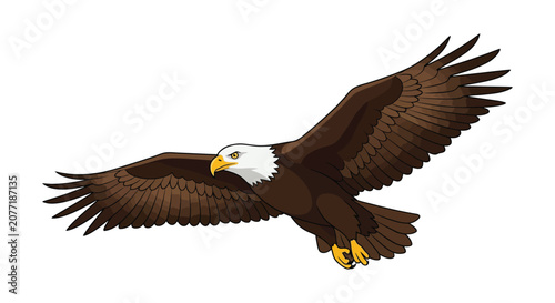 Foto Bald eagle illustration with outstretched wings against a white background bird